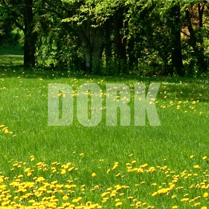 Dork