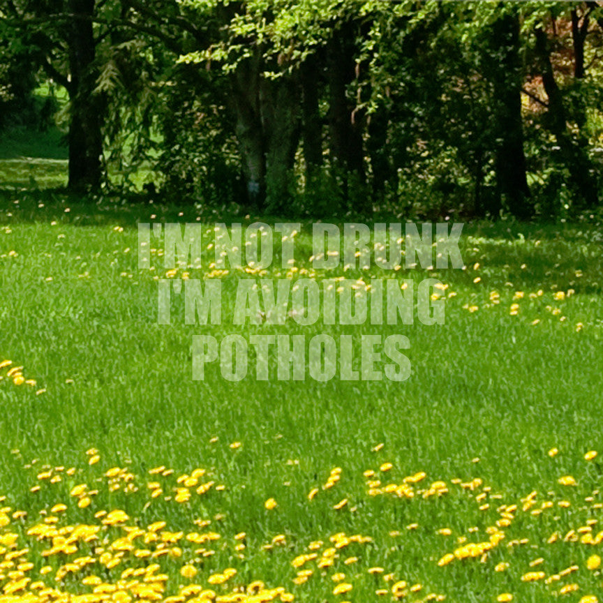 Not Drunk Avoiding Potholes