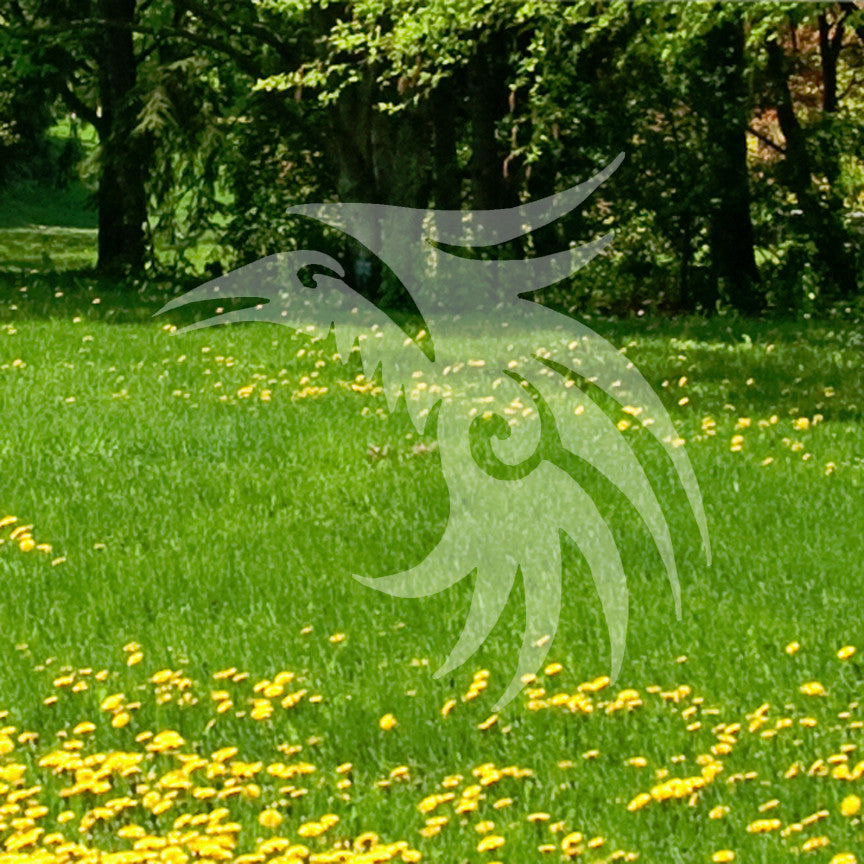 Tribal Bird Art