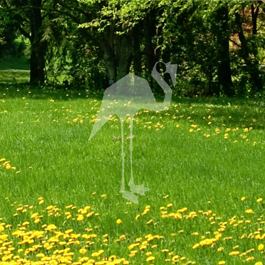 Flamingo Art