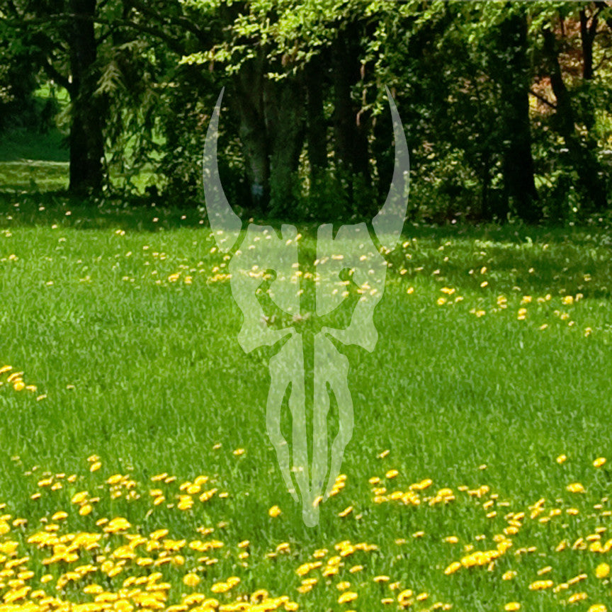 Tribal Cow Skull