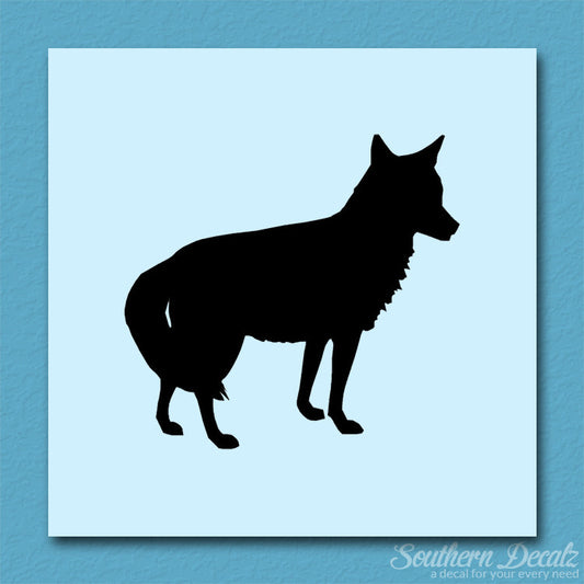Coyote Jackal Wild Dog