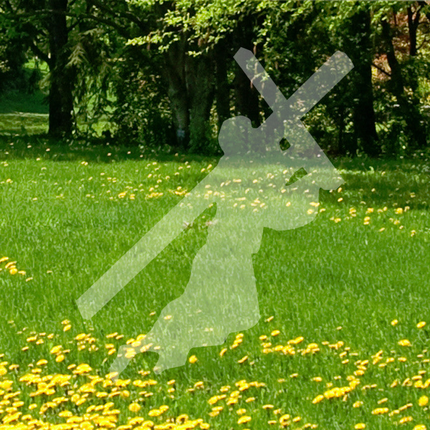 Jesus Angel Cross