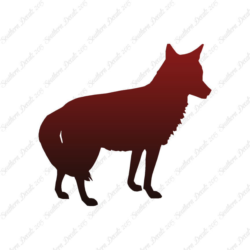 Coyote Jackal Wild Dog