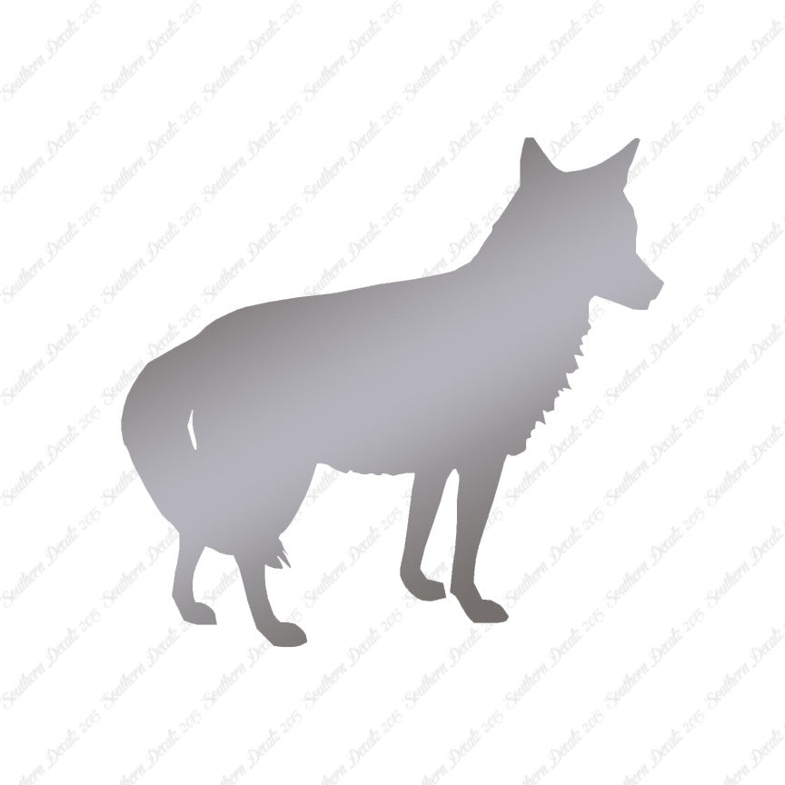 Coyote Jackal Wild Dog