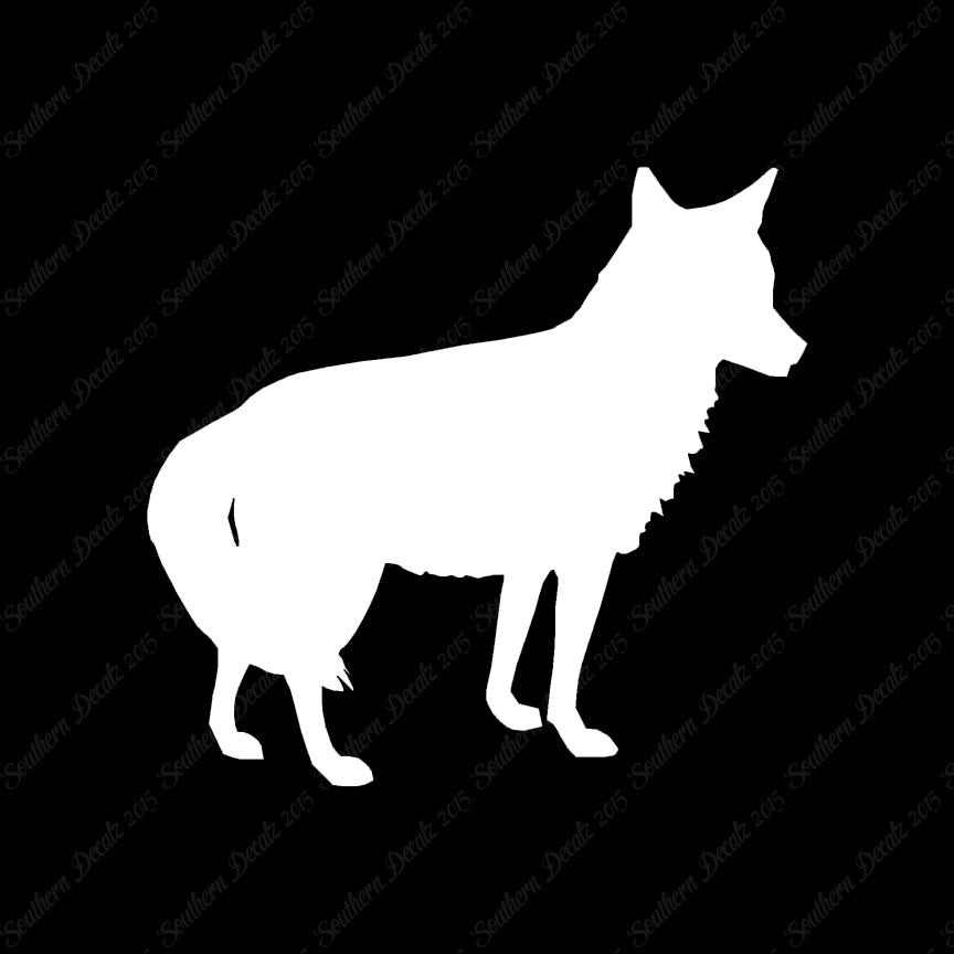 Coyote Jackal Wild Dog