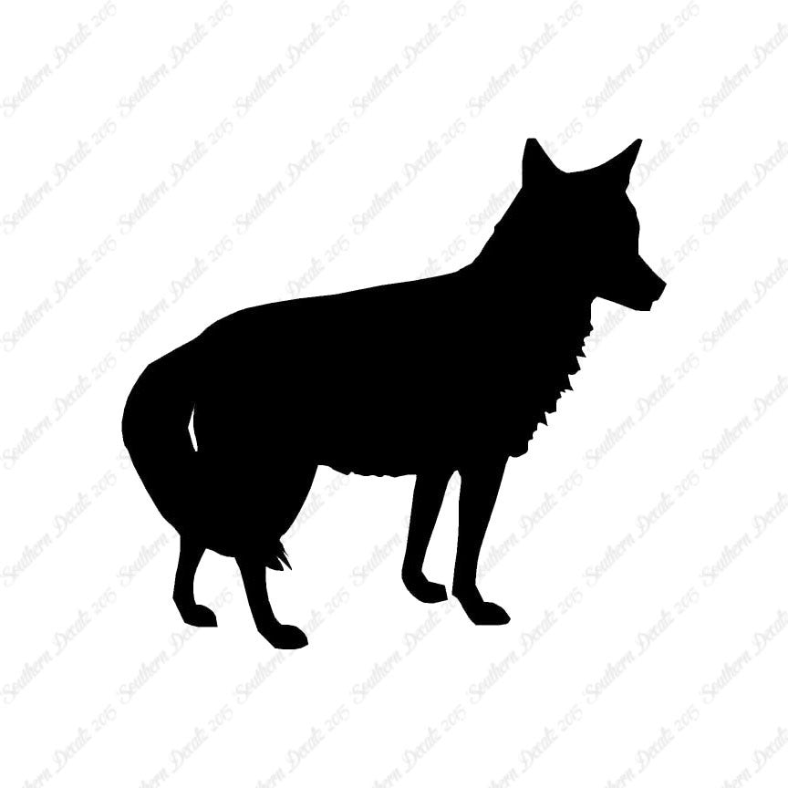 Coyote Jackal Wild Dog