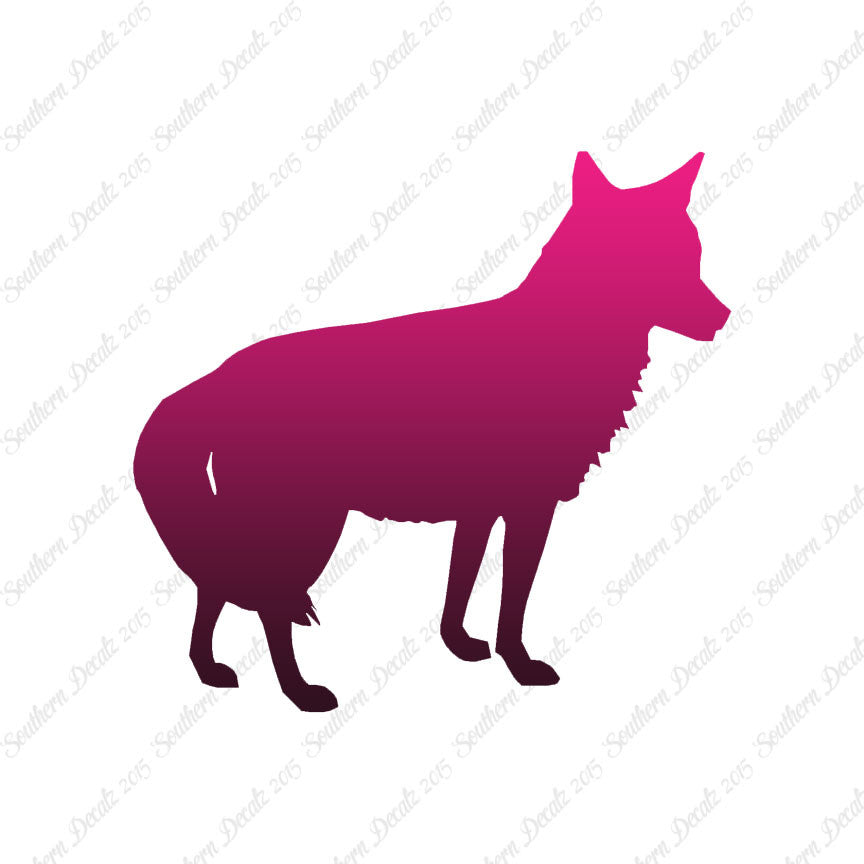 Coyote Jackal Wild Dog