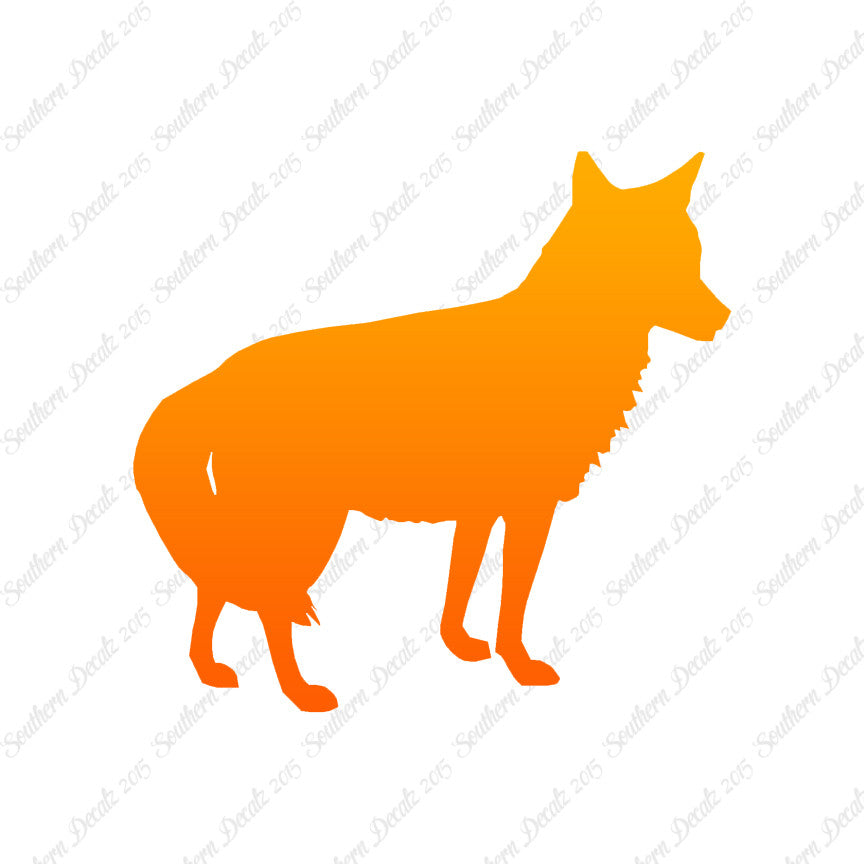 Coyote Jackal Wild Dog