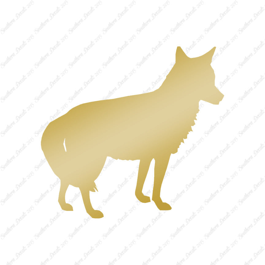Coyote Jackal Wild Dog