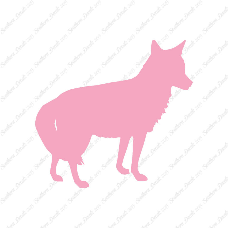 Coyote Jackal Wild Dog