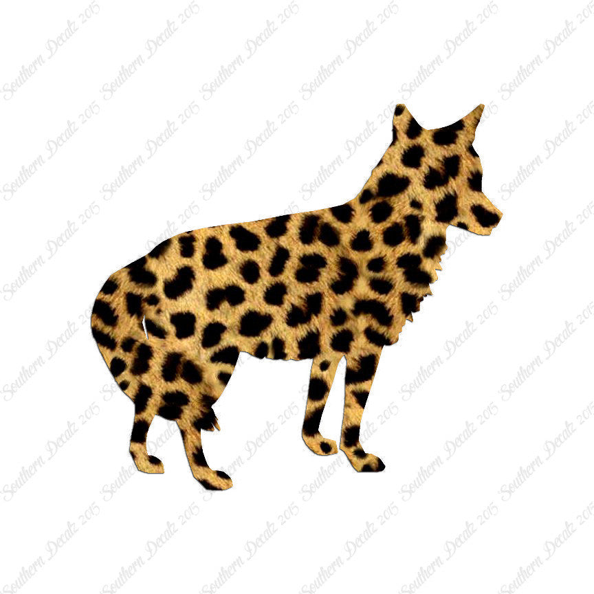 Coyote Jackal Wild Dog