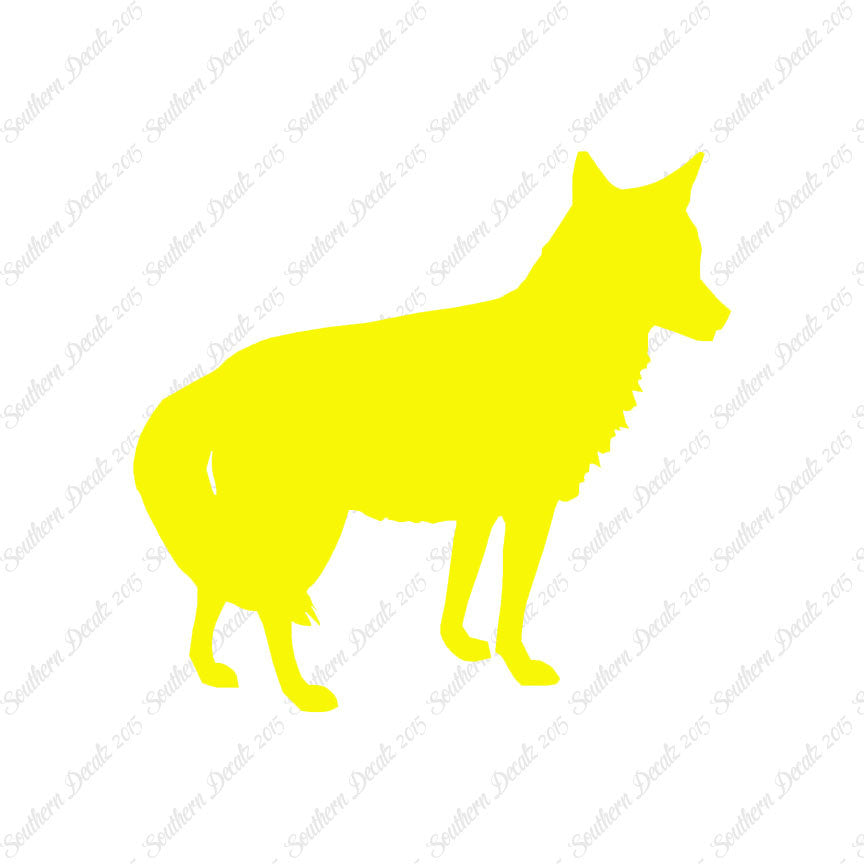 Coyote Jackal Wild Dog