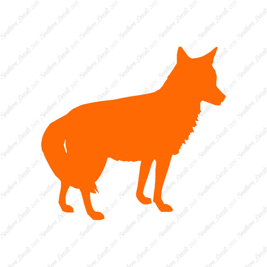 Coyote Jackal Wild Dog