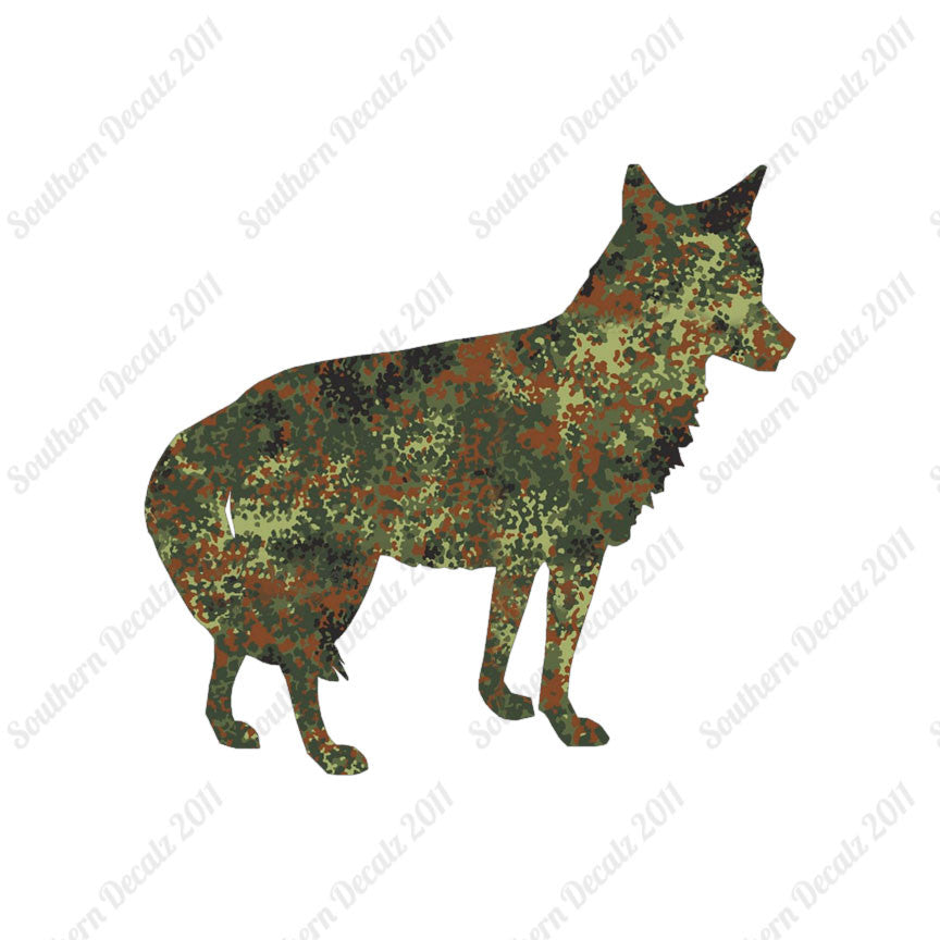 Coyote Jackal Wild Dog