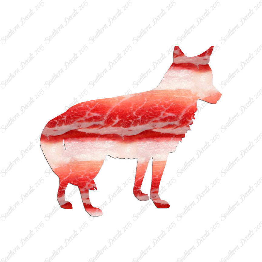Coyote Jackal Wild Dog