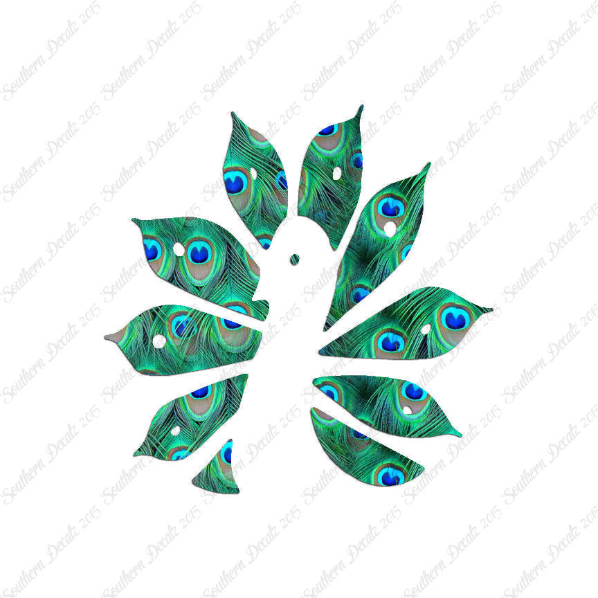 Peacock Bird Art