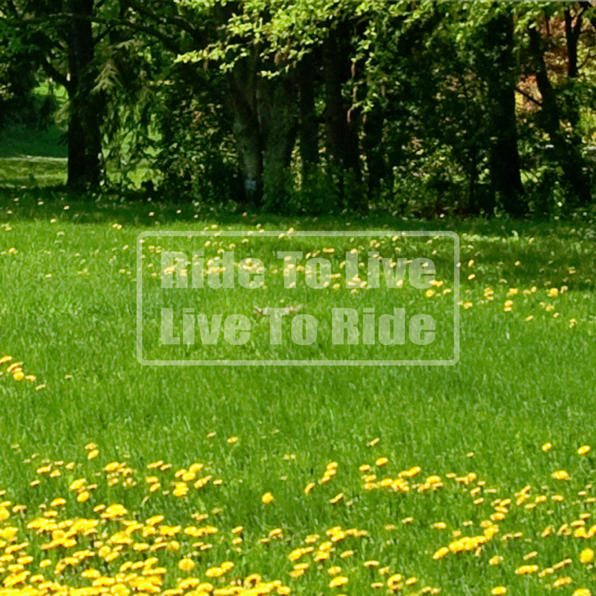 Ride To Live