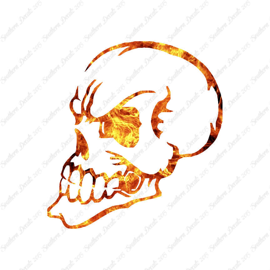 Skull Angry Art