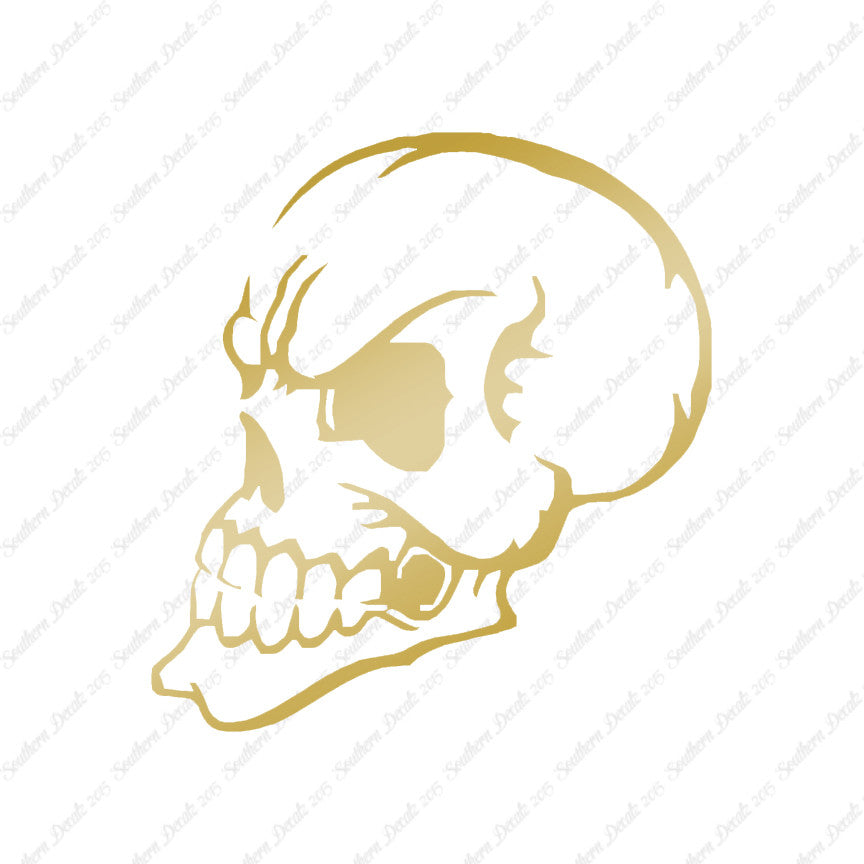 Skull Angry Art