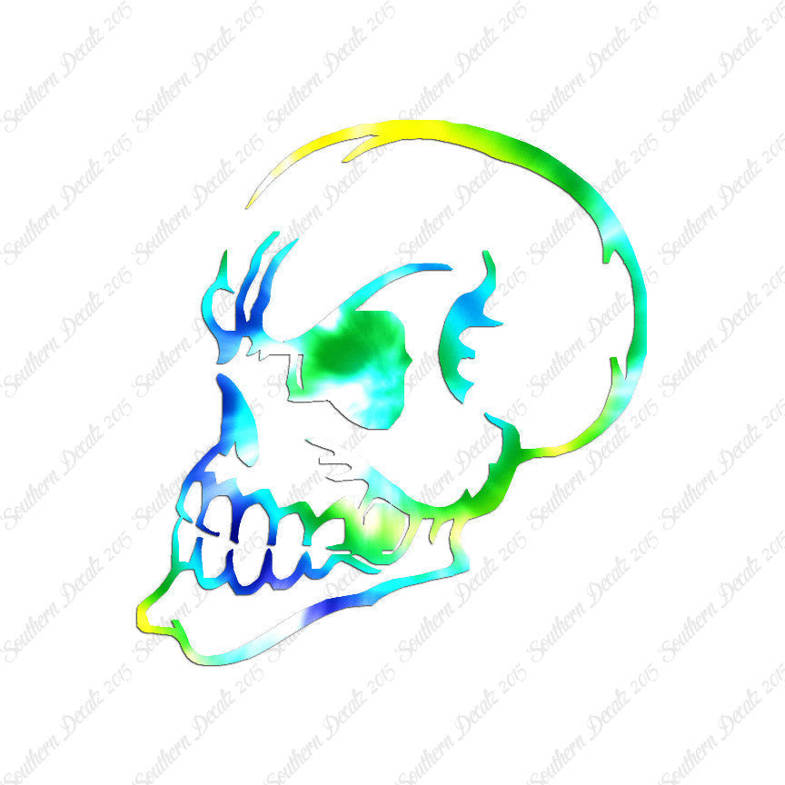 Skull Angry Art