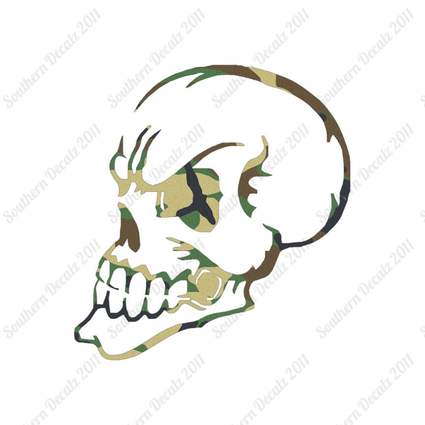 Skull Angry Art