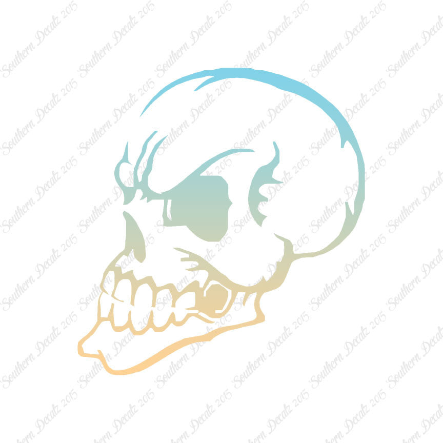 Skull Angry Art