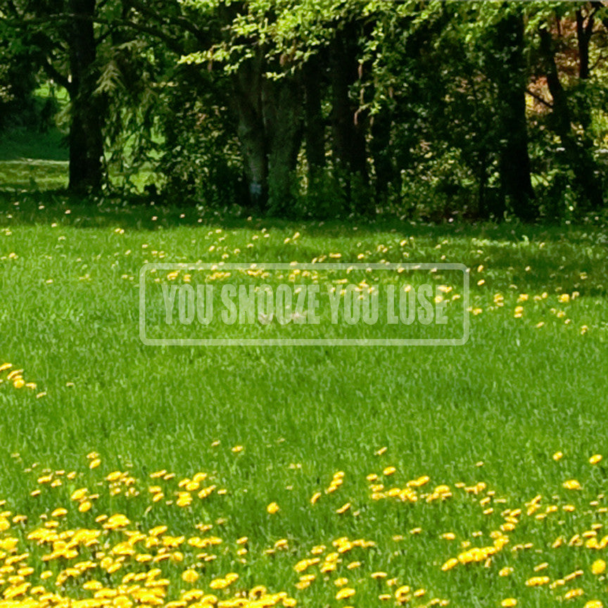 You Snooze You Lose