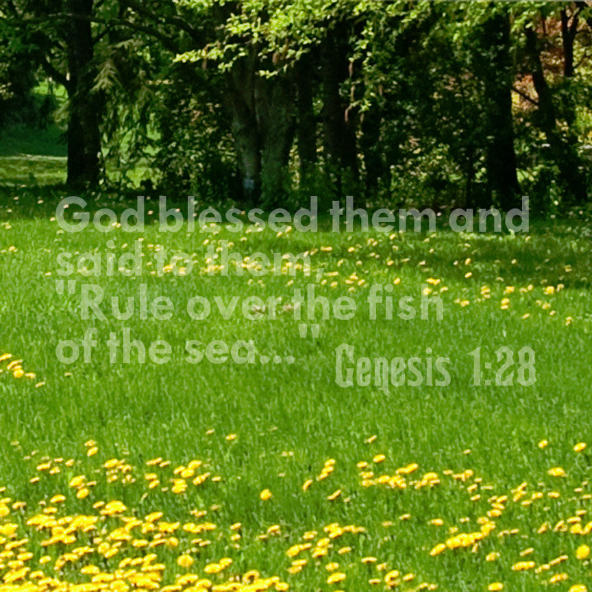 Genesis 1:28 Fishing