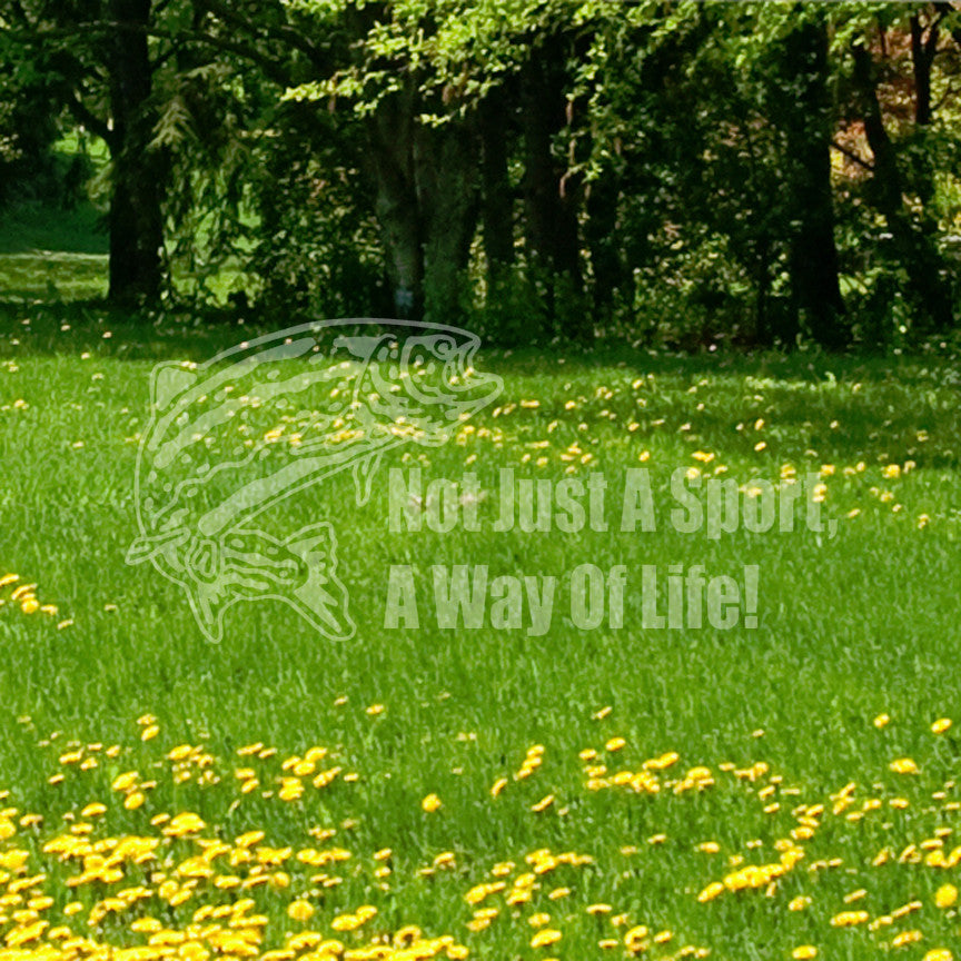Not Just A Sport Fishing