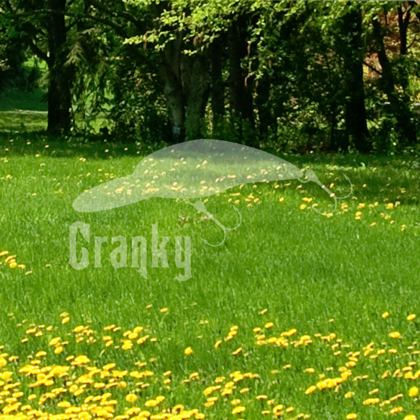 Cranky Crankbait Fishing Lure