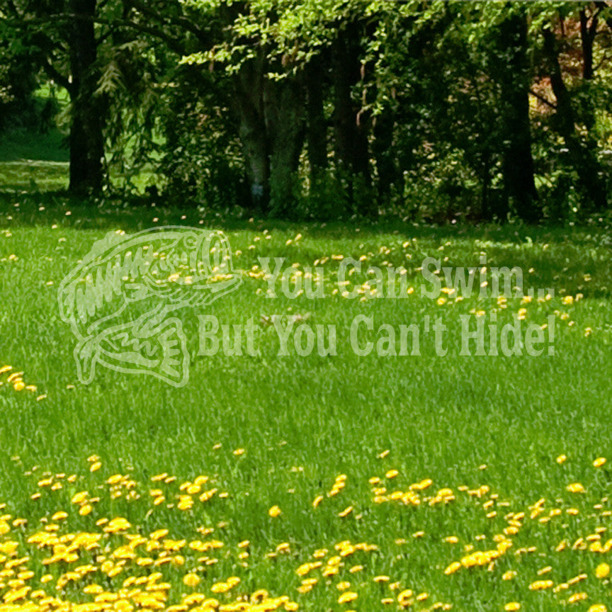 You Can Swim You Can't Hide