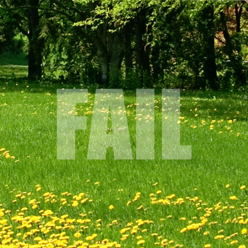 Fail