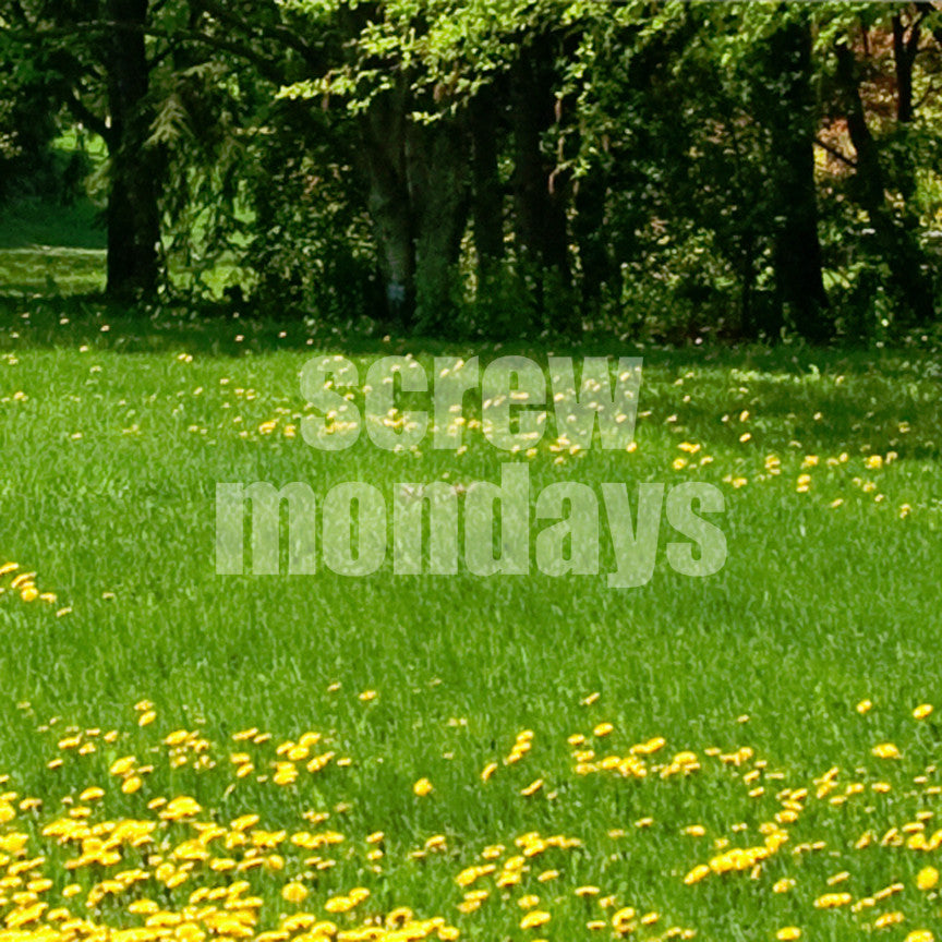 Screw Mondays