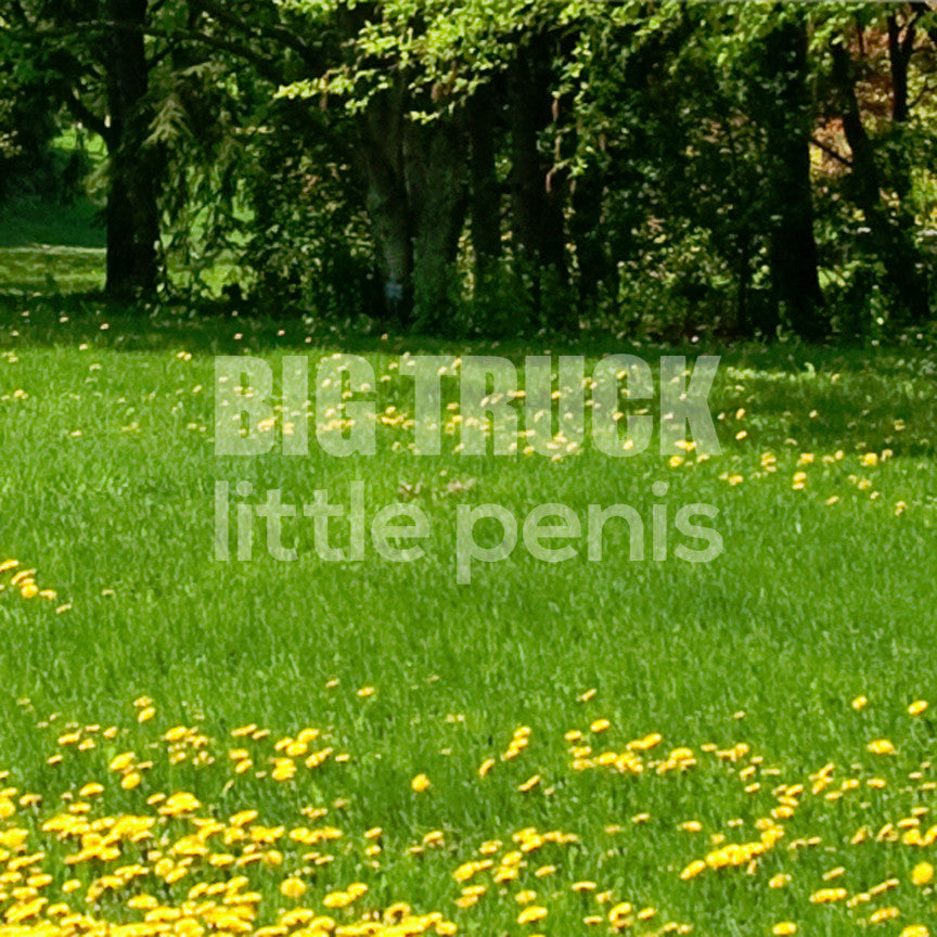 Big Truck Little Penis