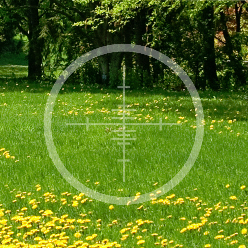 Target Crosshairs