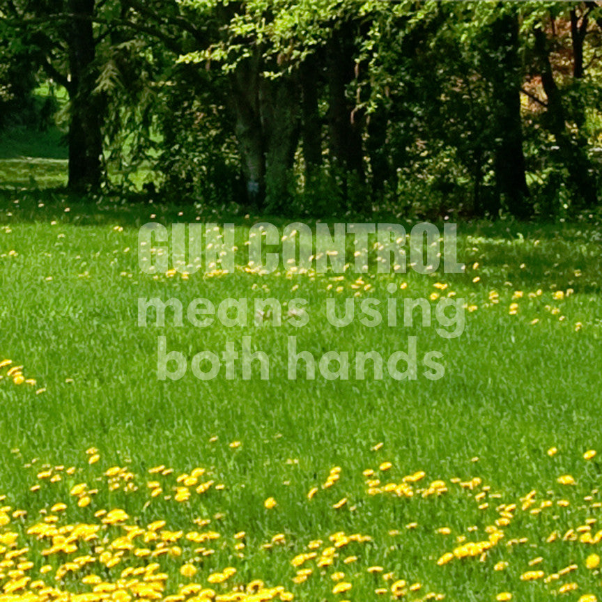 Gun Control Both Hands