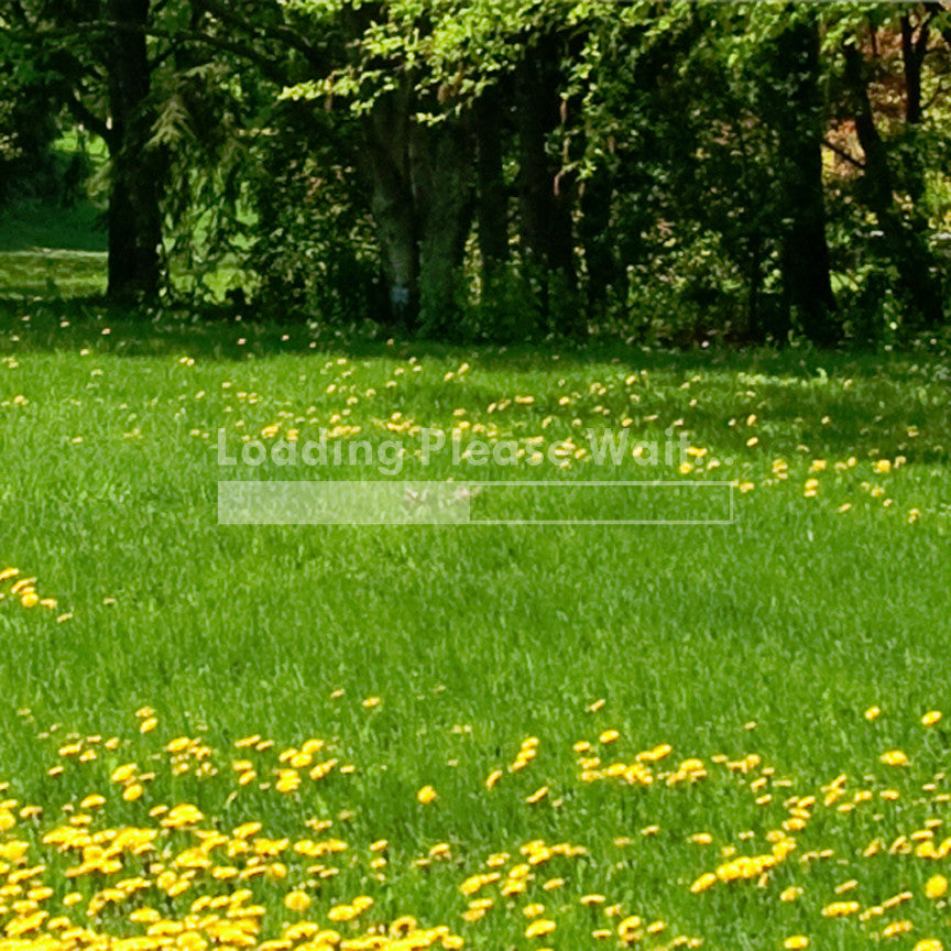 Loading Please Wait