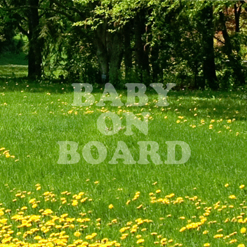 Baby On Board