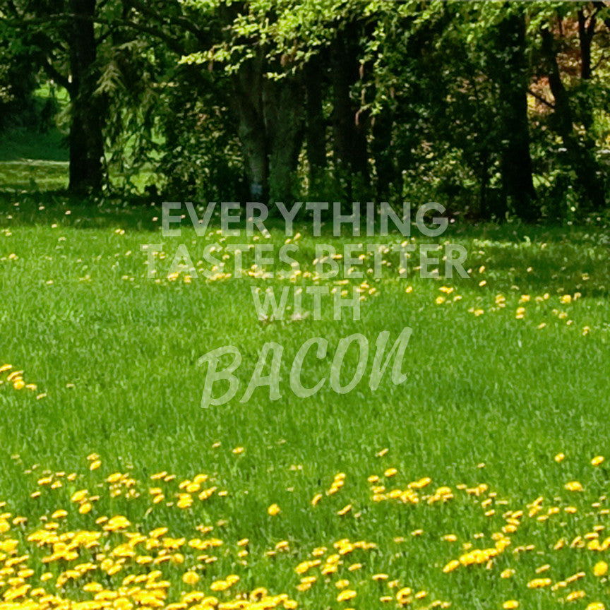 Everything Tastes Better With Bacon