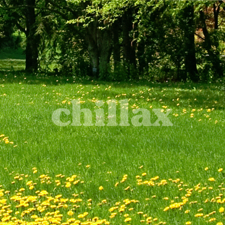 Chillax