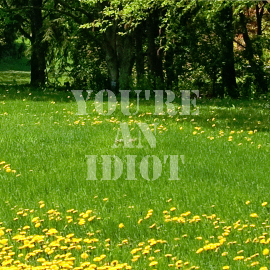 You're An Idiot