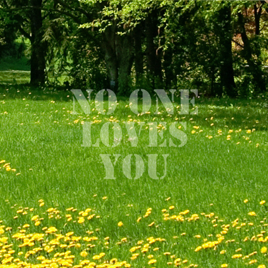 No One Loves You