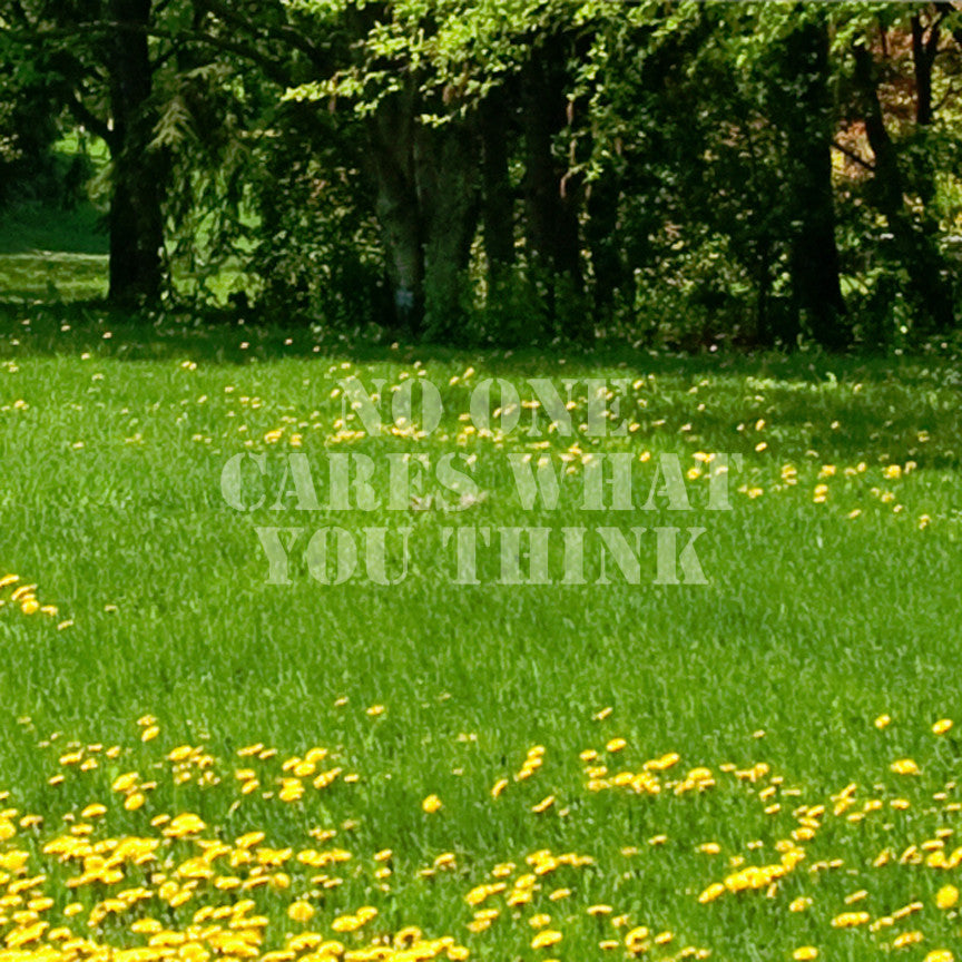 No One Cares What You Think