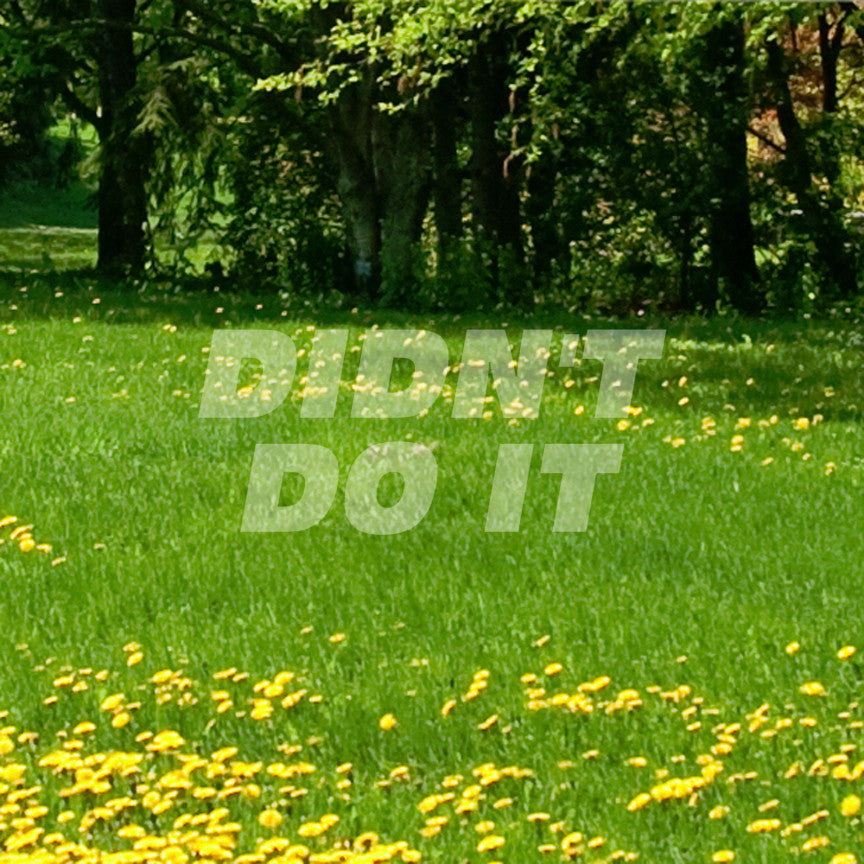 Didn't Do It