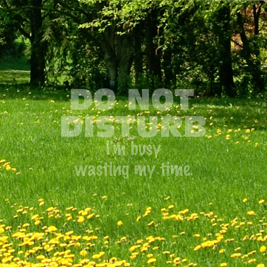 Do Not Disturb I'm Busy