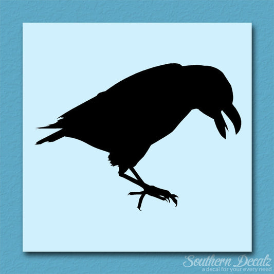 Raven Blackbird Crow