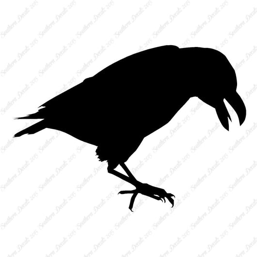 Raven Blackbird Crow