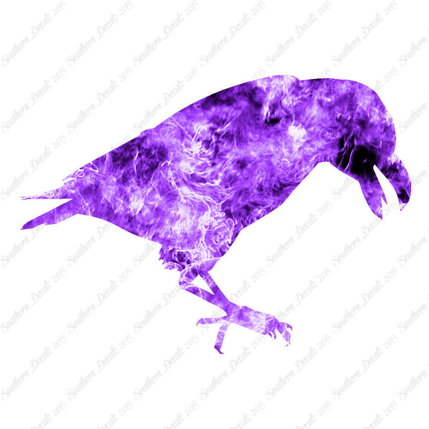 Raven Blackbird Crow