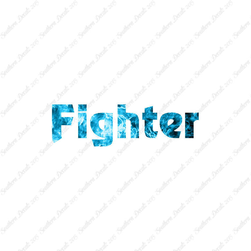 Fighter